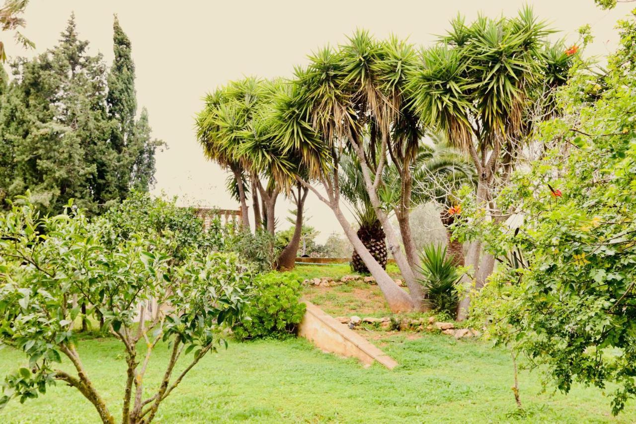 Finca Randa, Llucmayor, Bis 3 Sz, Pool, Garten Llucmajor  Εξωτερικό φωτογραφία