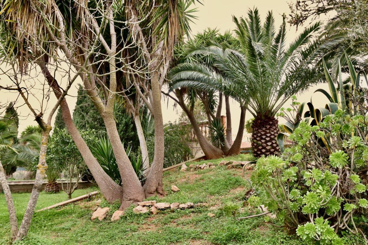 Finca Randa, Llucmayor, Bis 3 Sz, Pool, Garten Llucmajor  Εξωτερικό φωτογραφία
