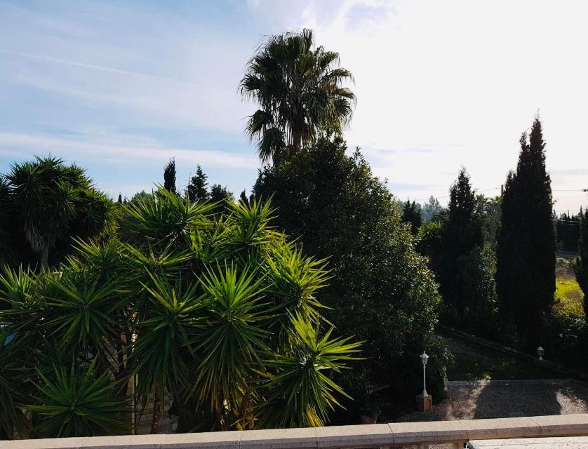 Finca Randa, Llucmayor, Bis 3 Sz, Pool, Garten Llucmajor  Εξωτερικό φωτογραφία